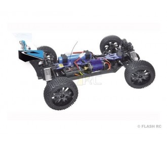 T2M Pirate Stinger brushed Blue 1/10th 4WD RTR