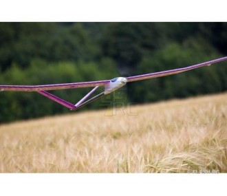 Pegasus V env.2.00m violet ARF TOPModeL CZ