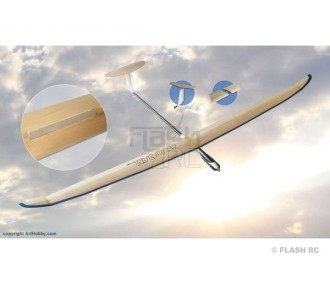 Avatar F5J aprox.3.40m Art Hobby (flaps & AF)