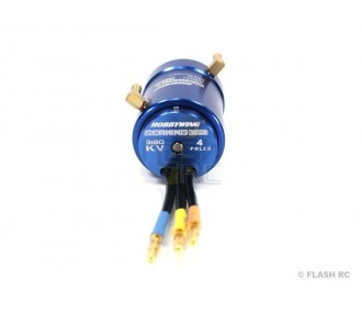 Moteur Hobbywing Seaking 3660 3180Kv