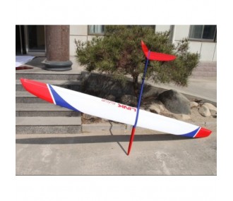 Segelflugzeug LINK Full Carbon F3F/F3B weiß und rot ca.2,96m