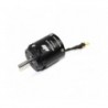 Dualsky XM3844EG-10 motor (161g, 970kv, 720W)