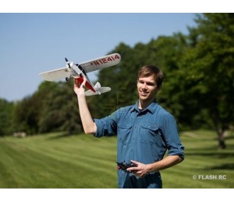 Hobbyzone Champ S RTF modo2 avión aprox.0.69m