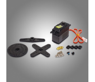 Blue Bird servo BMS-3310

(Note: This is a product name and does not require translation. If you have additional descriptive text in French, please provide it for translation.)