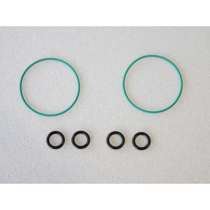 FORFASTER Z1 - Differential seal kit