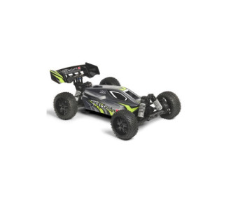 T2M Pirate Stinger II brushed 1/10th 4WD RTR