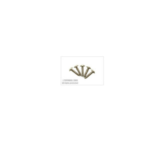 TORNILLO SERVO 2,2x10mm 20pcs TOPMODEL