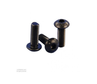 BOLT HEAD SCREW M4x10mm 10pcs