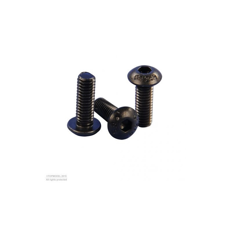 BOLT HEAD SCREW M4x10mm 10pcs