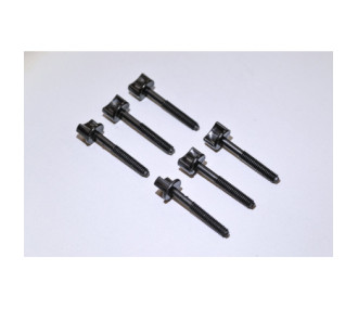 Plastic Screw 6 x 45 (6 pcs)