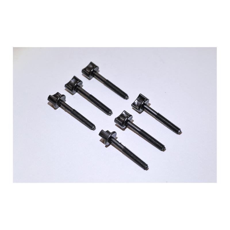 Plastic Screw 6 x 45 (6 pcs)