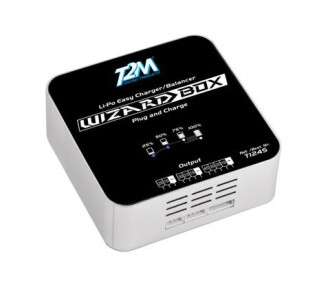 Caricabatterie Wizard Box 1x50W 220V T2M