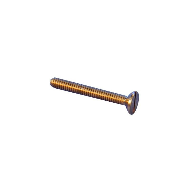 BRASS SCREW TF M1x4