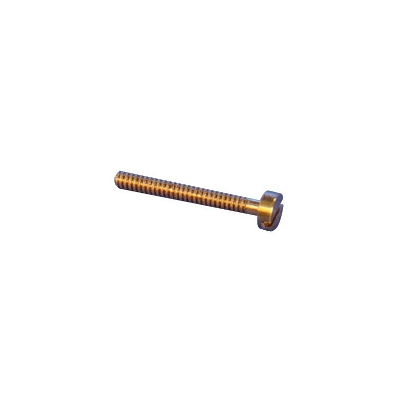 TC BRASS SCREW M1x12 10pcs