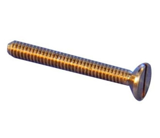 BRASS SCREW TF M1x6 10pcs