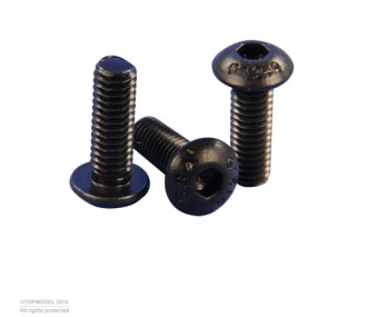 BOMBED HEAD CHC SCREW M2,5x12mm 10pcs