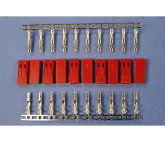 MALE CONNECTOR BEC IN KIT 10pcs