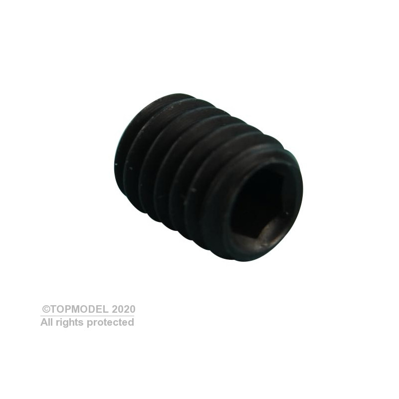 SOCKET SCREW 6 WITHOUT HEAD M3x3