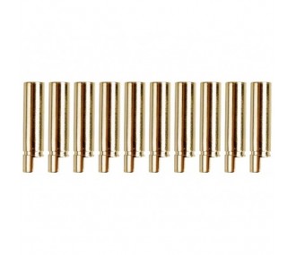 Gold Socket PK 4mm female (10 pcs) - Yuki Model