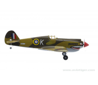 P40 WARHAWK 2.4 RTF M1