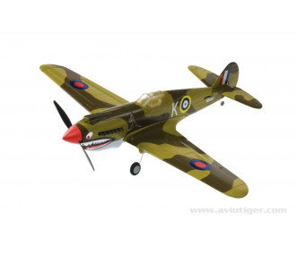 P40 WARHAWK 2.4 RTF M1