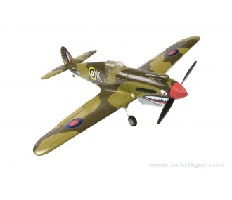 P40 WARHAWK 2.4 RTF M1