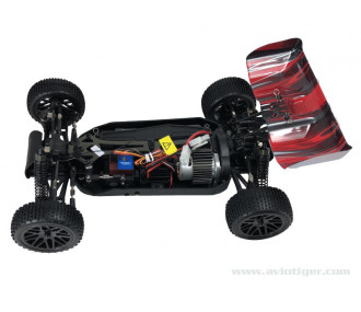 BLACKBULL 1/10 BRUSHLESS BUGGY