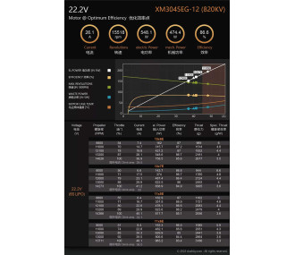 Moteur Dualsky XM3045EG-12 (120g, 820kV, 799W)