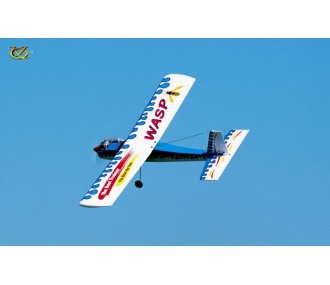 Avion VQ Modello Wasp trainer 46 taglia EP-GP