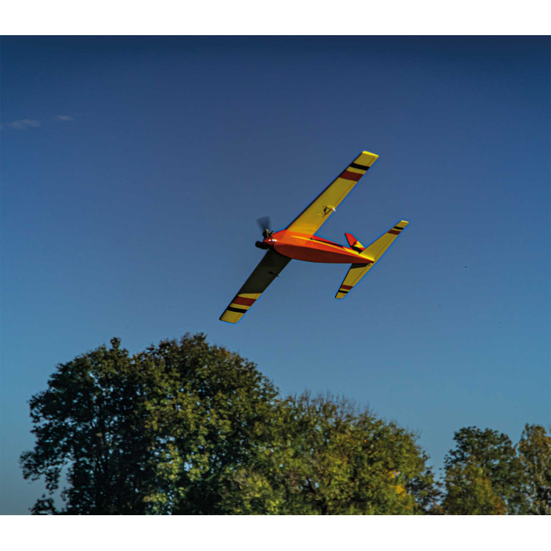 Avión de madera en kit para construir Robbe Rasant 0,90m - 50 años - Versión térmica