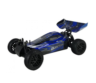 BLACKBULL 1/10 EP RTR BUGGY