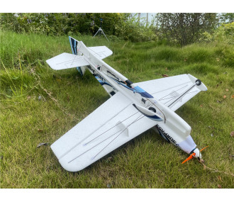 Avion 3D acro F3P PNP envergure 0,84m