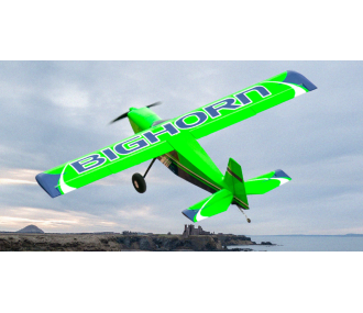 Aeromobili OMPHOBBY BigHorn PRO Verde circa 1,25 m PNP