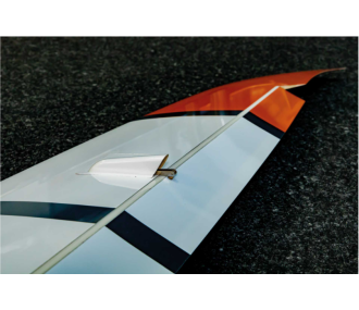 Robbe Modellsport EVOA 3.0 ARF Planeador de fibra de vidrio - ALTO RENDIMIENTO 4-WING GLIDER