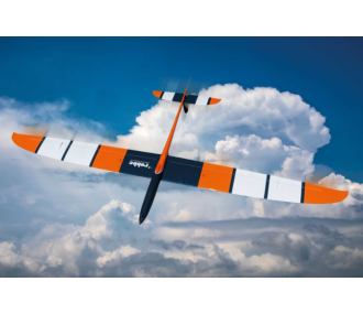 Robbe Modellsport EVOA 3.0 ARF Planeador de fibra de vidrio - ALTO RENDIMIENTO 4-WING GLIDER