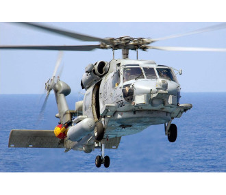 600 size SH-60 sea hawk painting