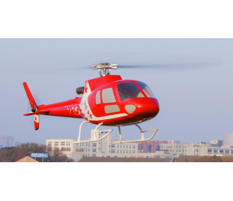 FLY WING - AS350 - Ardilla - PNP