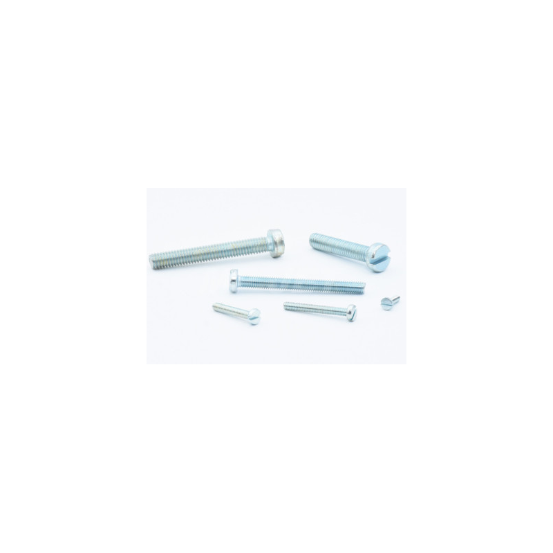 Vis tête cylindrique M2,5x20 10pcs