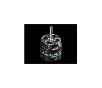 Moteur Dualsky XM2527EG-16 (37,5g, 2300KV)