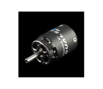 Moteur Dualsky XM2527EG-16 (37,5g, 2300KV)