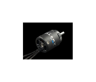 Moteur Dualsky XM2527EG-14 (37,5g, 2700KV)