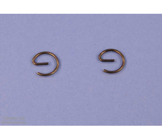 Anelli elastici del pistone DLE20RA 2 pezzi