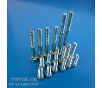 Set di viti DLE35RA 1pc