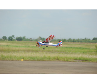 Phoenix Model Classic .61-.91/15cc ARF 1.73m