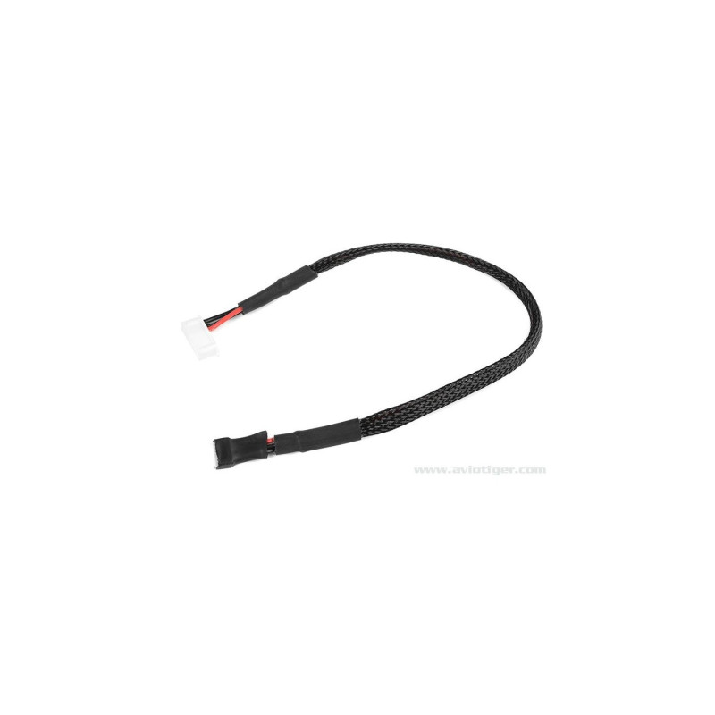 ADAPTATEUR EQUILIBRAGE 30 cm 22AWG 6S type XH en 2S EH