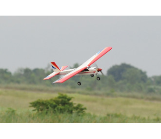 Phoenix model Classic sport 40 approx.1.43m