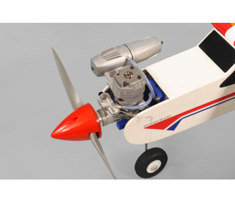 Phoenix model Classic sport 40 approx.1.43m