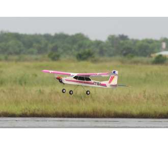 Phoenix Model Canary .46-55 GP/EP ARF 1.54m