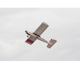 Phoenix Model Canary .46-55 GP/EP ARF 1.54m