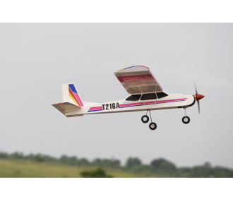 Phoenix Model Canary .46-55 GP/EP ARF 1.54m